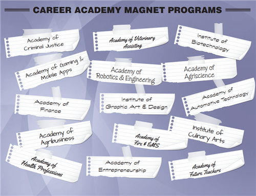 15 Career Academies!